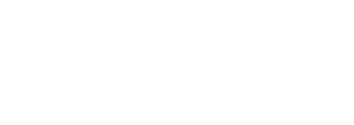 Logo meinLeisnig.de weiss